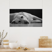 Hank 'ONE' Leinwand Poster (Küche)