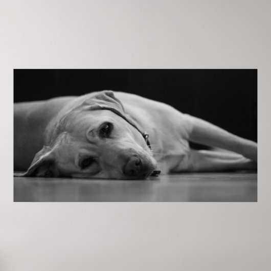 Hank 'ONE' Leinwand Poster (Vorne)