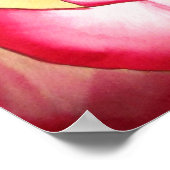 Hannah Gordon Rosa Aquarellkunst Poster (Ecke)