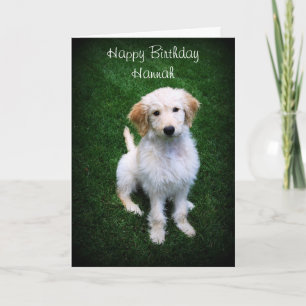 Hannah Happy Birthday Golden Doodle Karte