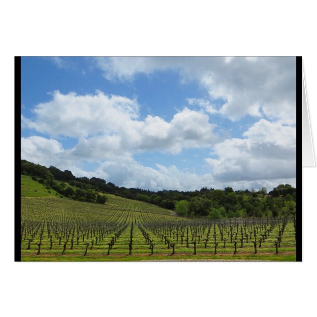 Hannah-Weinkellerei im April 2018 (Vorderseite (Horizontal))