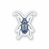 Hanneton Aufkleber (Vorderseite)