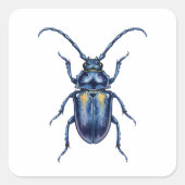 Hanneton Quadratischer Aufkleber (Vorderseite)