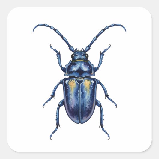 Hanneton Quadratischer Aufkleber (Vorderseite)