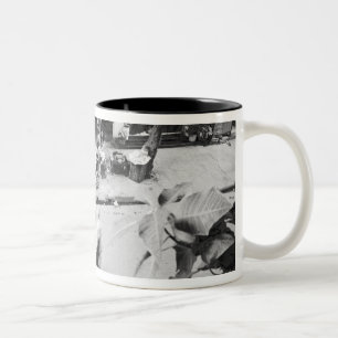 Hanoi Vietnam, Motorrad im alten Hanoi Zweifarbige Tasse