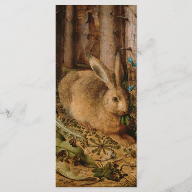 Hans Hoffmann ein Hase im Wald (Vorderseite)