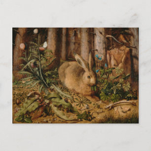 Hans Hoffmann ein Hase im Wald Postkarte