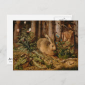 Hans Hoffmann ein Hase im Wald Postkarte (Vorne/Hinten)