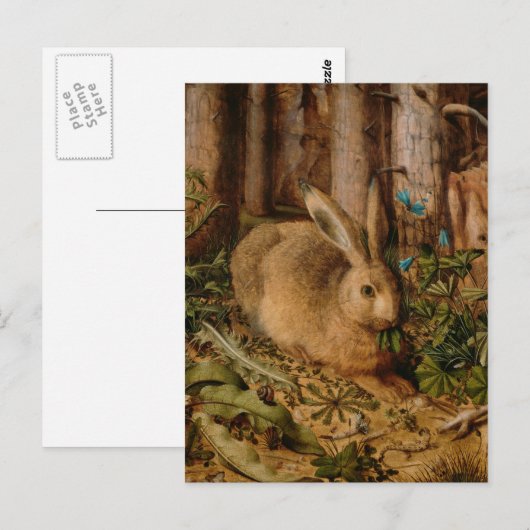 Hans Hoffmann ein Hase im Wald Postkarte (Vorne/Hinten)