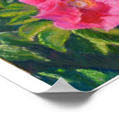 Hansa Shore Rose Poster (Ecke)