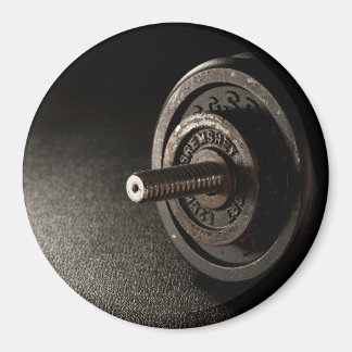 Hantel Magnet