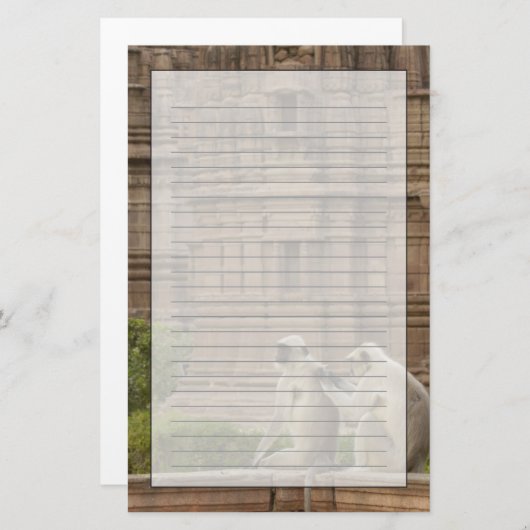 Hanuman-Langurs oder schwarz, gemein oder grau Briefpapier (Vorne/Hinten)