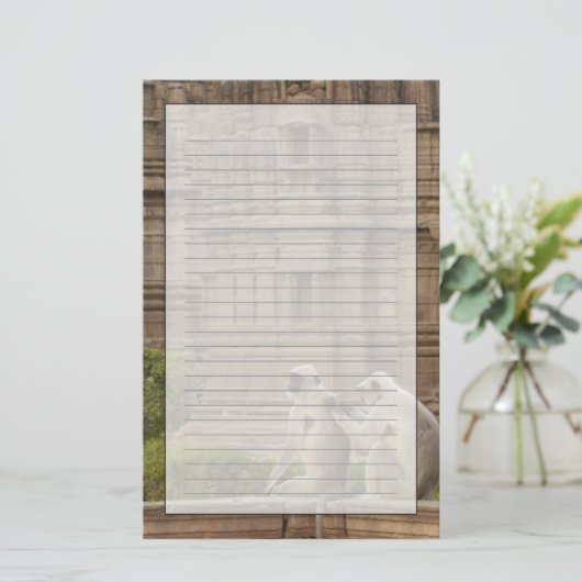 Hanuman-Langurs oder schwarz, gemein oder grau Briefpapier (Stehend Vorderseite)