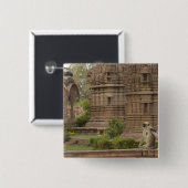 Hanuman-Langurs oder schwarz, gemein oder grau Button (Vorne & Hinten)