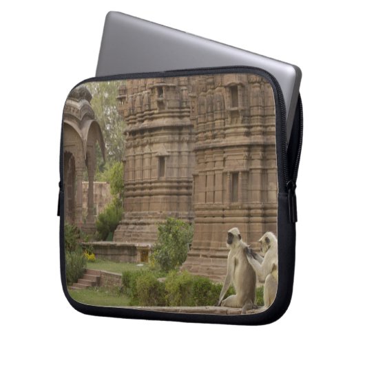 Hanuman-Langurs oder schwarz, gemein oder grau Laptopschutzhülle (Vorderseite Links)