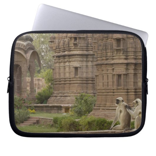 Hanuman-Langurs oder schwarz, gemein oder grau Laptopschutzhülle (Vorderseite)