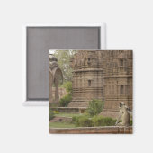 Hanuman-Langurs oder schwarz, gemein oder grau Magnet (Vorderseite/Rückseite)