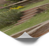 Hanuman-Langurs oder schwarz, gemein oder grau Poster (Ecke)