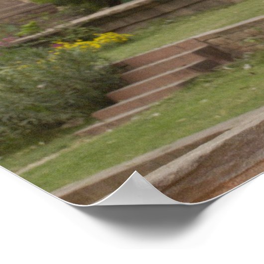 Hanuman-Langurs oder schwarz, gemein oder grau Poster (Ecke)