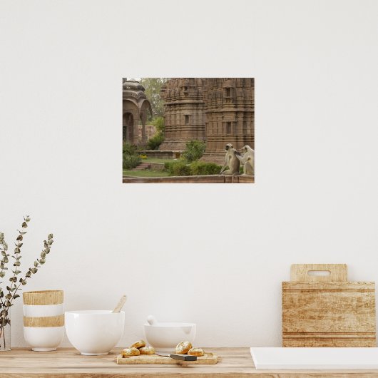 Hanuman-Langurs oder schwarz, gemein oder grau Poster (Küche)