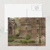 Hanuman-Langurs oder schwarz, gemein oder grau Postkarte (Vorne/Hinten)