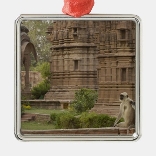 Hanuman-Langurs oder schwarz, gemein oder grau Silbernes Ornament (Vorne)