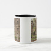 Hanuman-Langurs oder schwarz, gemein oder grau Tasse (Zentrum)