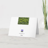 Hap Pea Birthday Karte (Rückseite)