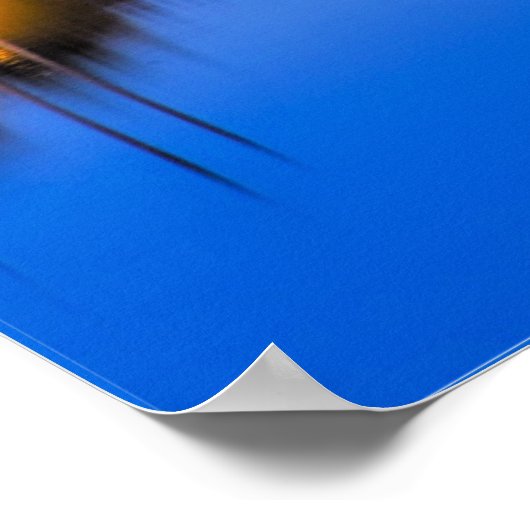 Ha'Penny Bridge, Dublin, Irland Poster (Ecke)