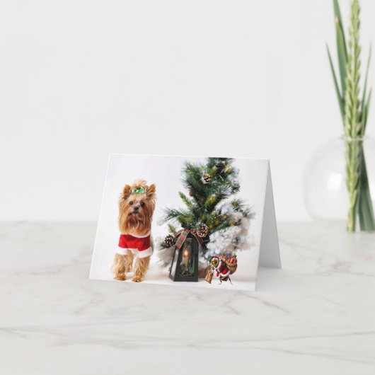 Happ-Bee Urlaub. Karte (Vorderseite)