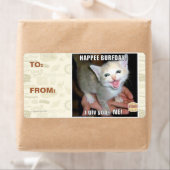 HAPPEE BURFDAY! (Insitu)