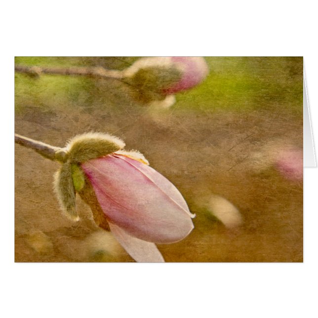 Happengeschenk (Vorderseite (Horizontal))