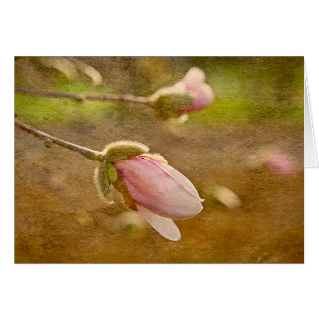 Happengeschenk (Vorderseite (Horizontal))