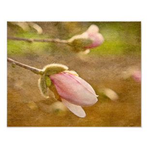 Happengeschenk Fotodruck