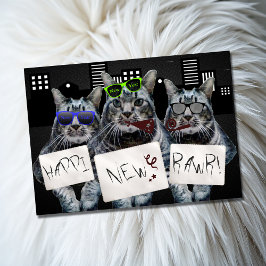 Happi New Rawr Kitty Trio