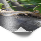 Happily Singing Robin Fotodruck (Ecke)