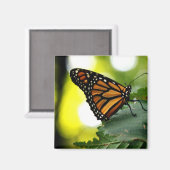 Happines ist ein Schmetterling Magnet (Vorderseite/Rückseite)