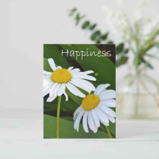 Happiness Daisies Postkarte (Stehend Vorderseite)