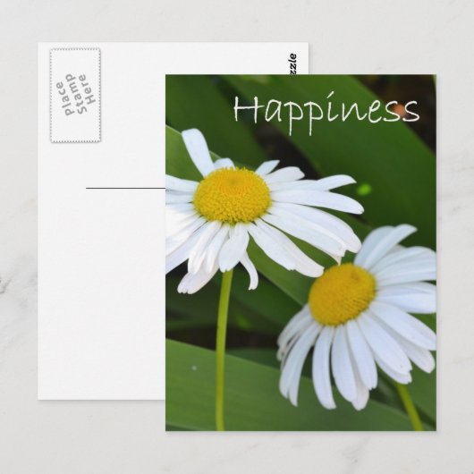Happiness Daisies Postkarte (Vorne/Hinten)