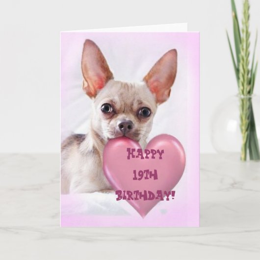 Happy 19th Birthday Chihuahua greeting card Karte (Vorderseite)