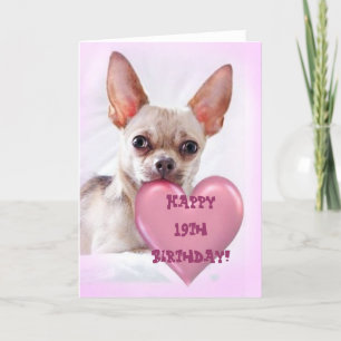 Happy 19th Birthday Chihuahua greeting card Karte