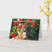 Happy 20th Anniversary Boxer Greeting Card Karte (Gelbe Blume)