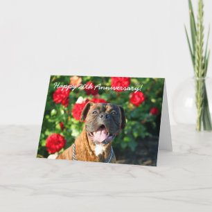 Happy 20th Anniversary Boxer Greeting Card Karte