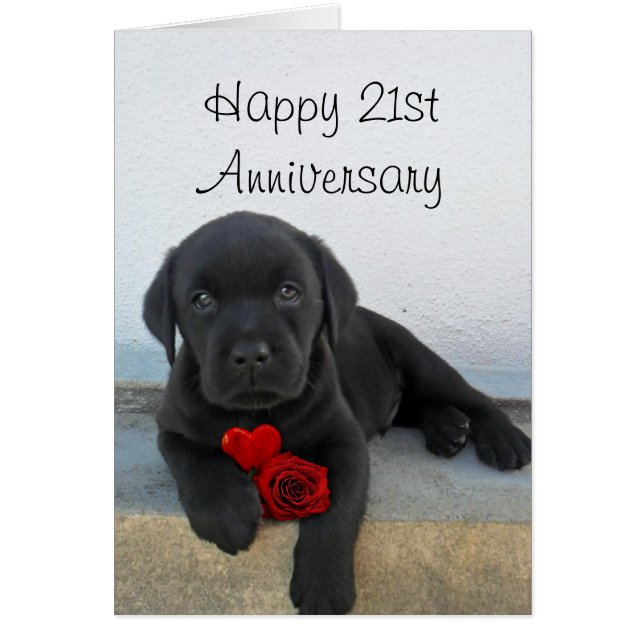 Happy 21. Jubiläum Labrador Welpenkarte (Vorne)