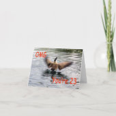 Happy 23. Geburtstag Gänseflattern Karte (Vorderseite)