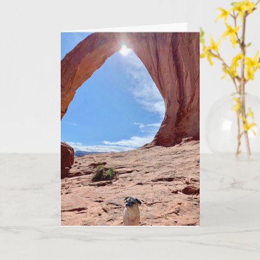 Happy Abschluss Dog Card | Lily the Mops Karte (Gelbe Blume)