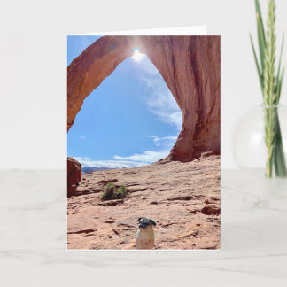 Happy Abschluss Dog Card | Lily the Mops Karte