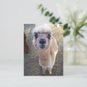 Happy Alpaca sagt hi Postkarte (Stehend Vorderseite)
