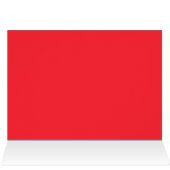 Happy Amerikanische Unabhängigkeitstag Turtle in F (Innenansicht Horizontal (Oben))