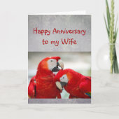 Happy Annivers Sweetheart Parrot Wife Love Karte (Vorderseite)